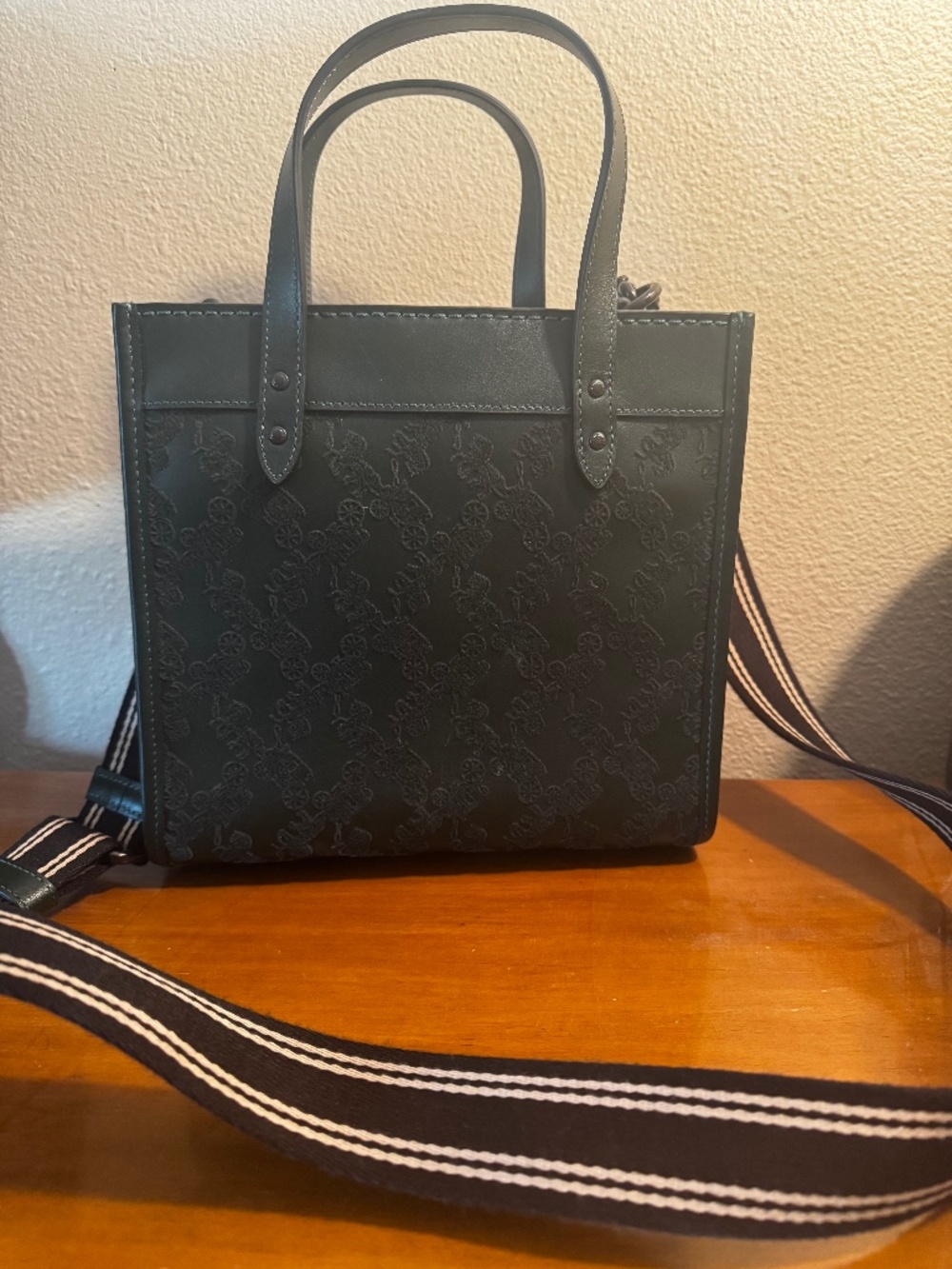 Coach stagecoach design